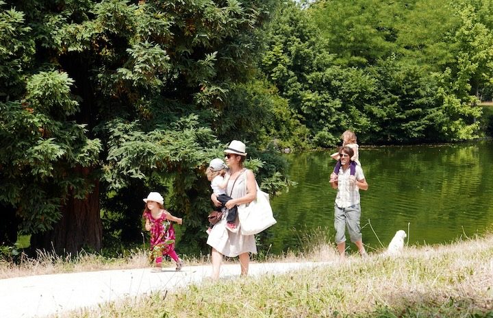A wholesome culture is one that has God, human dignity, and the family at its heart.